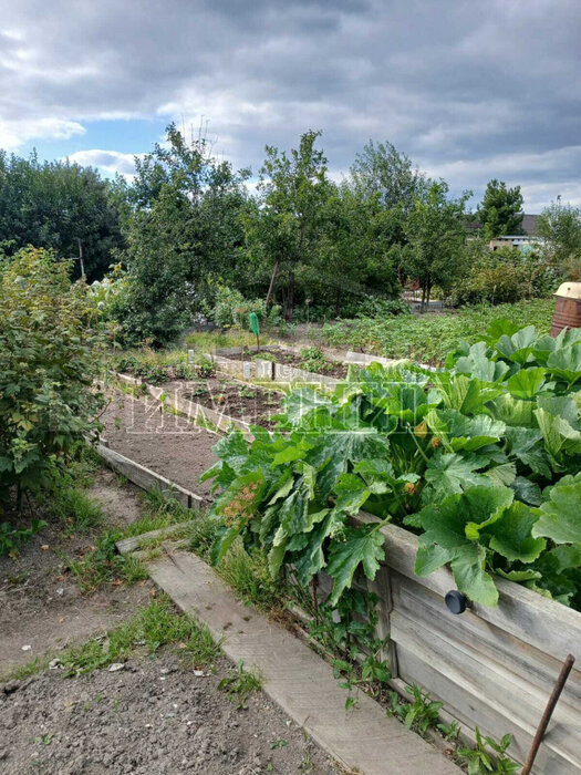 г. Ревда, садово-огородническое товарищество № 2 Средуралмедьзавод (городской округ Ревда) - фото сада (5)