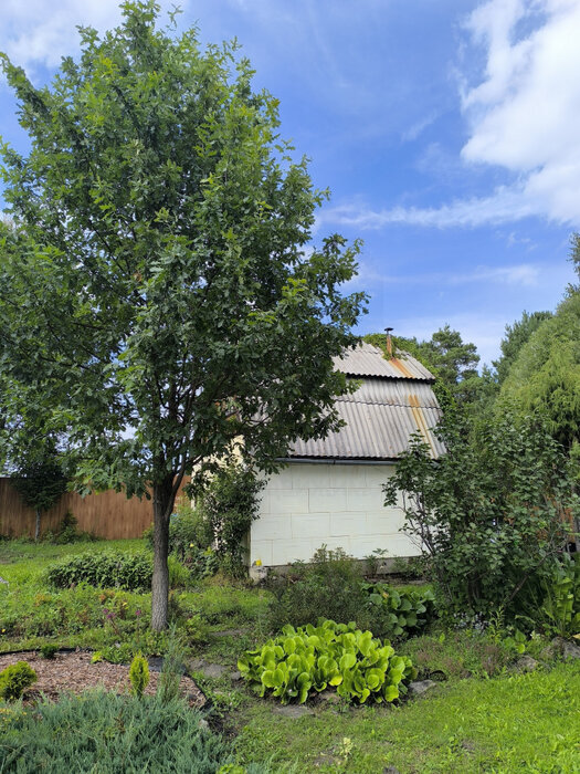 п. Бобровский, снт. Радуга-5, уч. 33 (городской округ Сысертский) - фото сада (8)