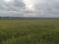 Продажа земельного участка: д. Макарова, ул. Сергеевская, 18 (городской округ Первоуральск) - Фото 7
