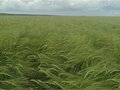 Продажа земельного участка: д. Макарова, ул. Сергеевская, 18 (городской округ Первоуральск) - Фото 8