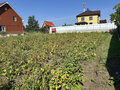 Продажа земельного участка: п. Старопышминск, ул. Советская, 15 (городской округ Березовский) - Фото 7