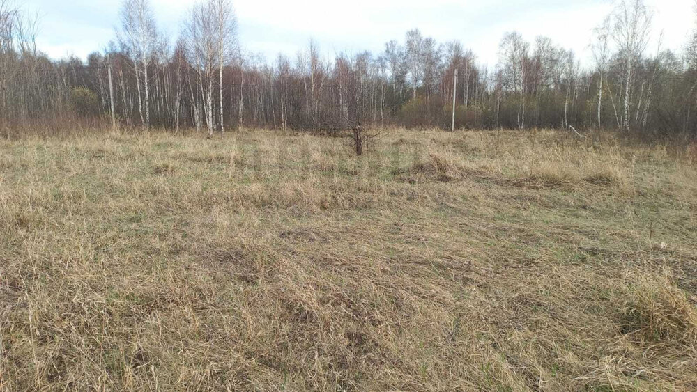 п. Хризолитовый, ул. Военная,   (городской округ Белоярский) - фото земельного участка (1)
