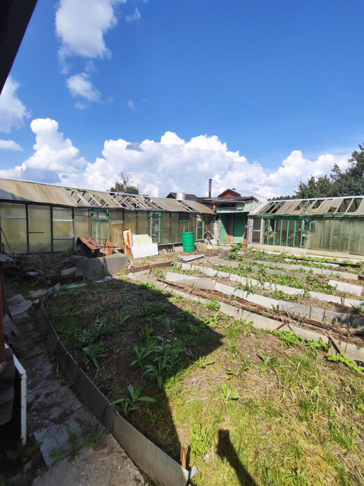 г. Березовский, СНТ мечта, уч. 33 (городской округ Березовский) - фото сада (3)