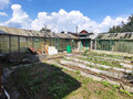 Продажа садового участка: г. Березовский, СНТ мечта, уч. 33 (городской округ Березовский) - Фото 3