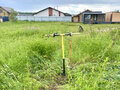 Продажа земельного участка: п. Кирпичный, ул. Рассветная, 15 (городской округ Среднеуральск) - Фото 3