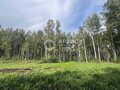 Продажа земельного участка: Екатеринбург, ул. Ветеран 3 (Горный щит) - Фото 3
