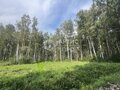 Продажа земельного участка: Екатеринбург, ул. Ветеран 3 (Горный щит) - Фото 4