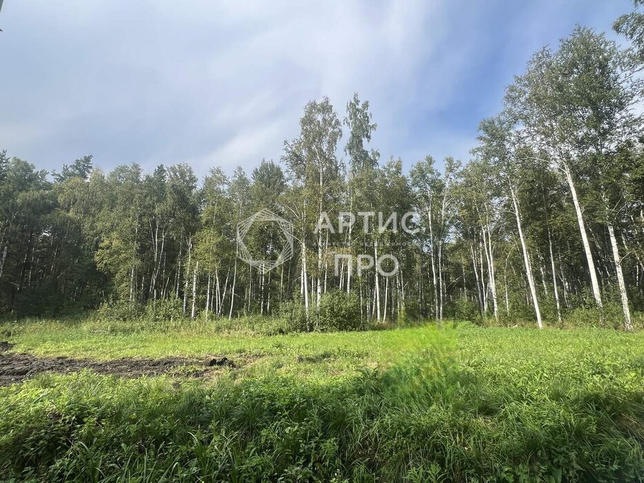 Екатеринбург, ул. Ветеран 3 (Горный щит) - фото земельного участка (5)