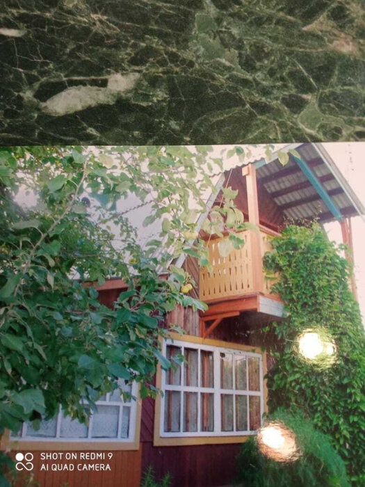 с. Логиново, к/с Путеец (городской округ Белоярский) - фото сада (8)