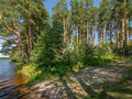 Продажа коттеджей: г. Сысерть, ул. Фарфоровый,   (городской округ Сысертский) - Фото 5