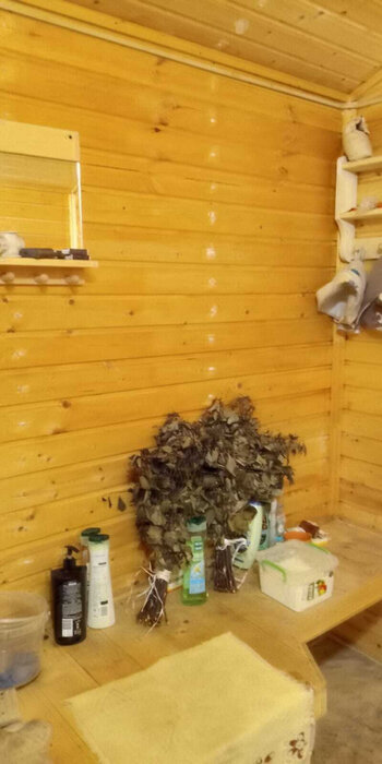 Екатеринбург, СНТ Радуга-1 - фото сада (8)