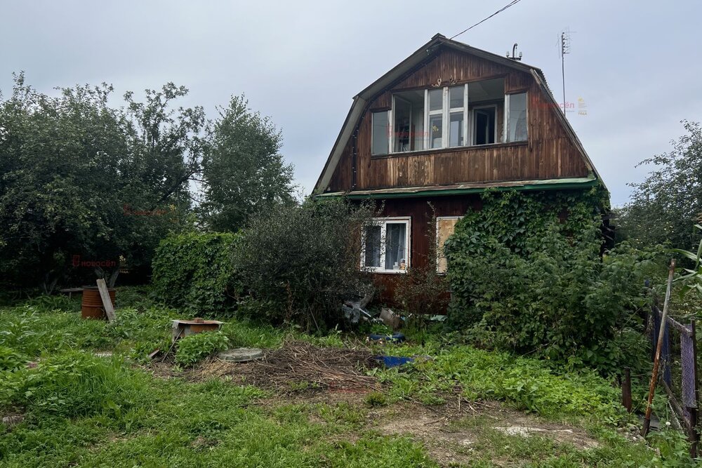 Екатеринбург, с/т Буровик-2 - фото сада (2)