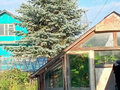 Продажа садового участка: пгт. Верхнее Дуброво, снт Озерный (городской округ Верхнее Дуброво) - Фото 5