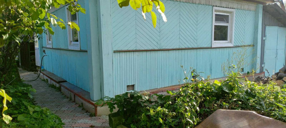 пгт. Верхнее Дуброво, снт Озерный (городской округ Верхнее Дуброво) - фото сада (6)