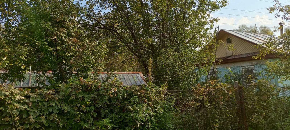пгт. Верхнее Дуброво, снт Озерный (городской округ Верхнее Дуброво) - фото сада (7)
