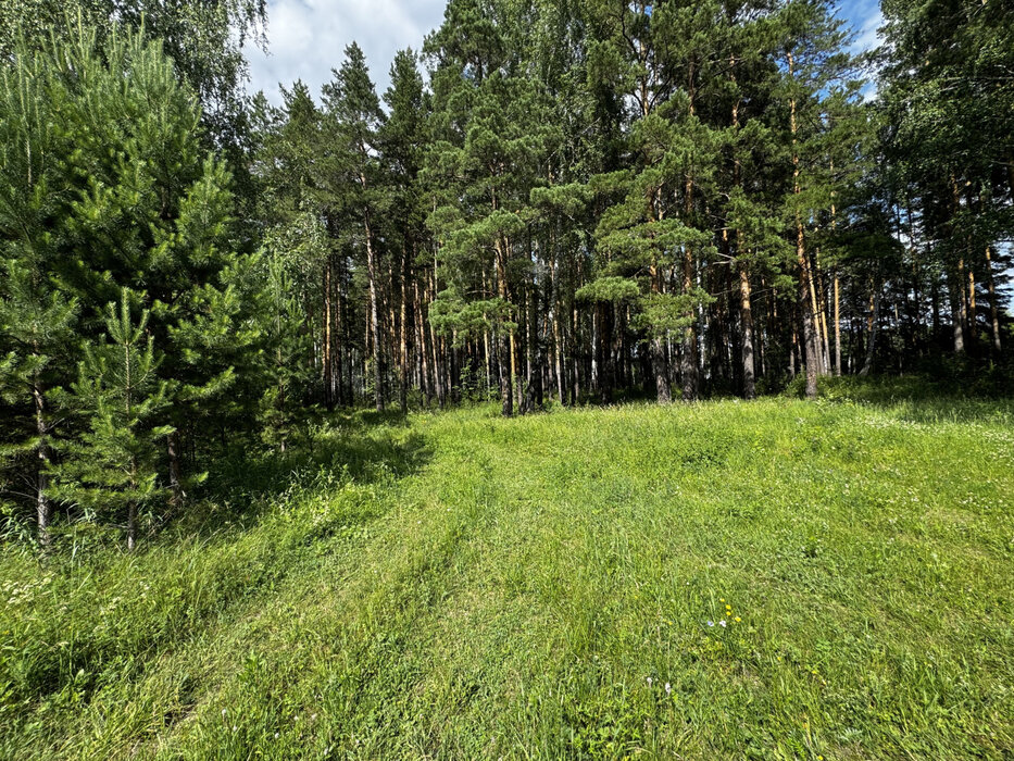 с. Щелкун (городской округ Сысертский) - фото земельного участка (2)
