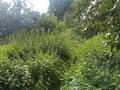 Продажа коттеджей: г. Верхняя Пышма, ул. Первомайская, 48 (городской округ Верхняя Пышма) - Фото 5