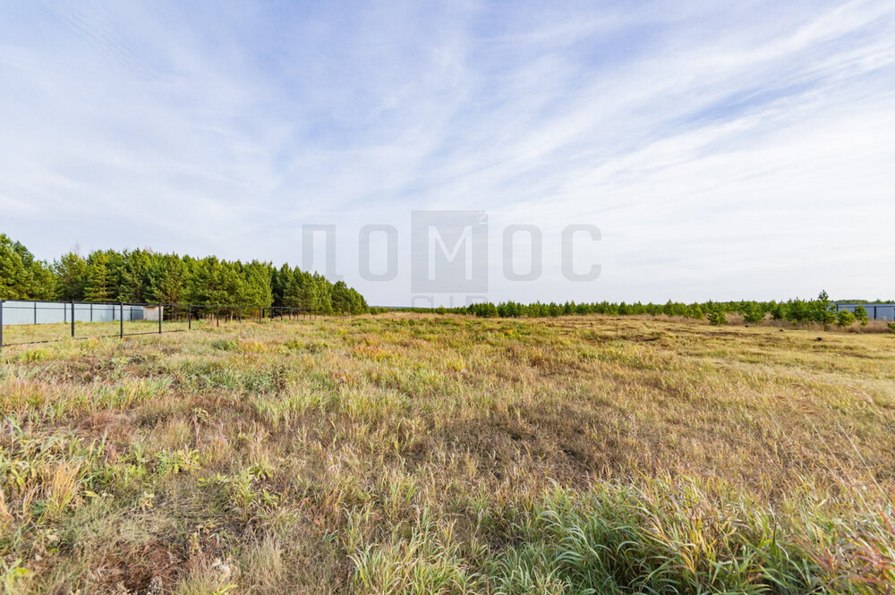 п. Бобровский, ул.  Бобровские дачи, 38 (городской округ Сысертский) - фото земельного участка (6)