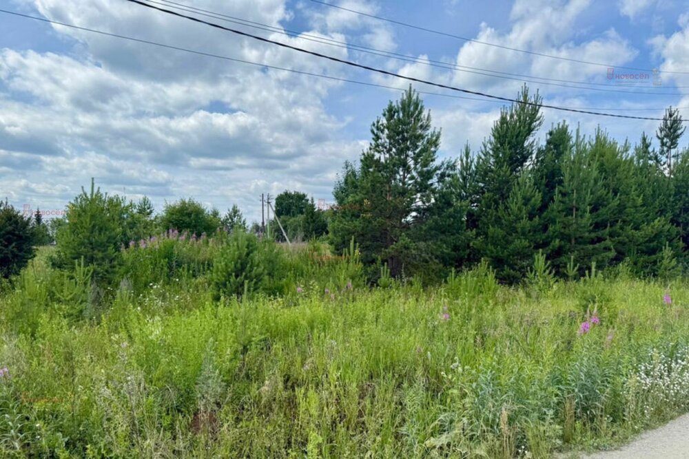 д. Гусева, ул. Андреевская, 3 (городской округ Белоярский) - фото земельного участка (3)