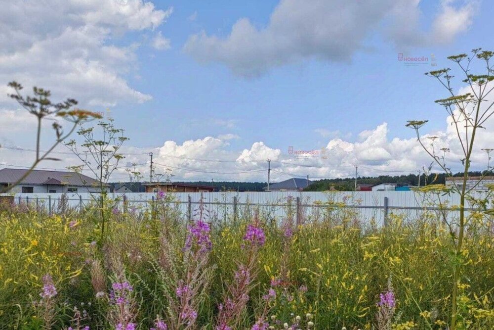 д. Гусева, ул. Андреевская, 3 (городской округ Белоярский) - фото земельного участка (6)