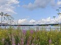 Продажа земельного участка: д. Гусева, ул. Андреевская, 3 (городской округ Белоярский) - Фото 6