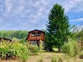 Продажа садового участка: п. Таватуй, СНТ Университетский №2, уч. 7 (городской округ Невьянский) - Фото 2