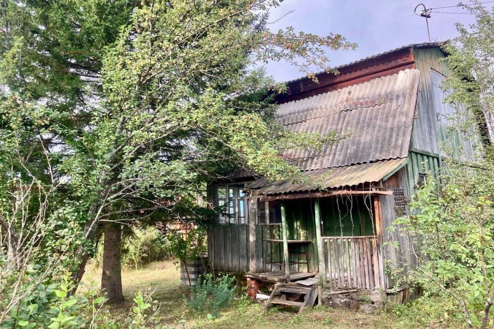 п. Таватуй, СНТ Университетский №2, уч. 7 (городской округ Невьянский) - фото сада (5)