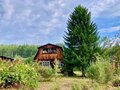 Продажа садового участка: п. Таватуй, СНТ Университетский №2, уч. 7 (городской округ Невьянский) - Фото 6