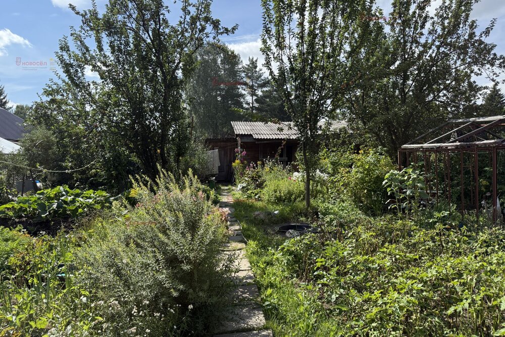 с. Балтым, СНТ Приозерное-2 (городской округ Верхняя Пышма) - фото сада (4)