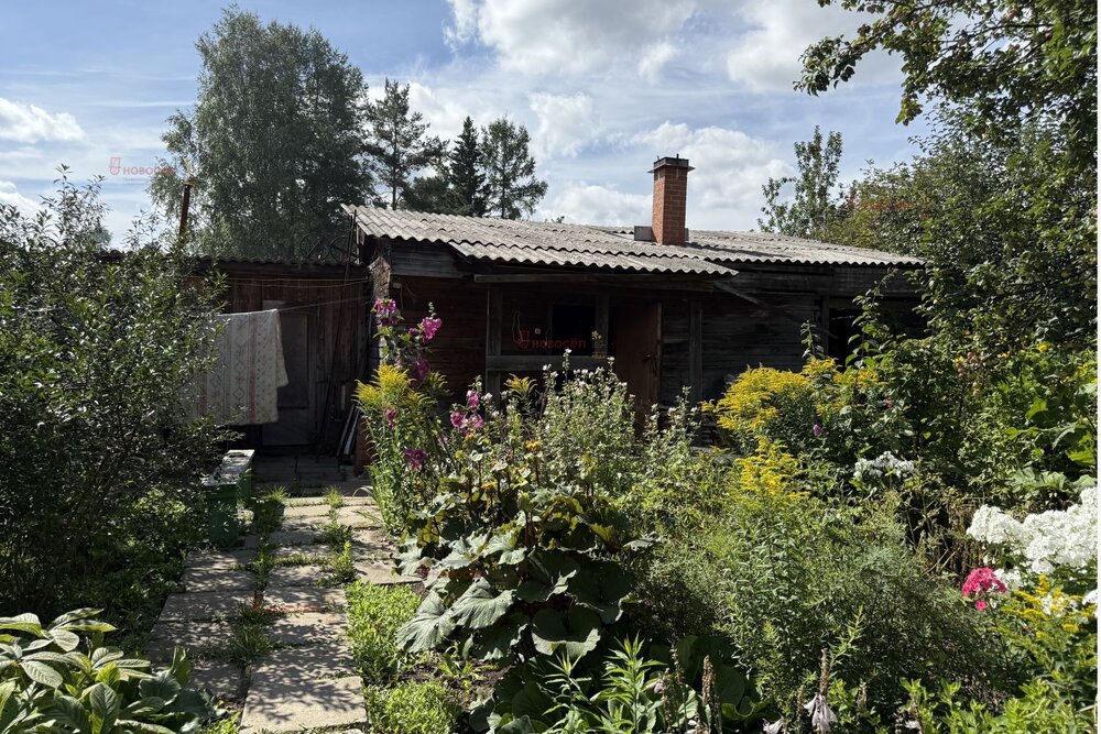 с. Балтым, СНТ Приозерное-2 (городской округ Верхняя Пышма) - фото сада (5)