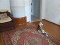 Продажа коттеджа, дома, дачи: г. Краснотурьинск, ул. Средняя, 46 (городской округ Краснотурьинск) - Фото 1