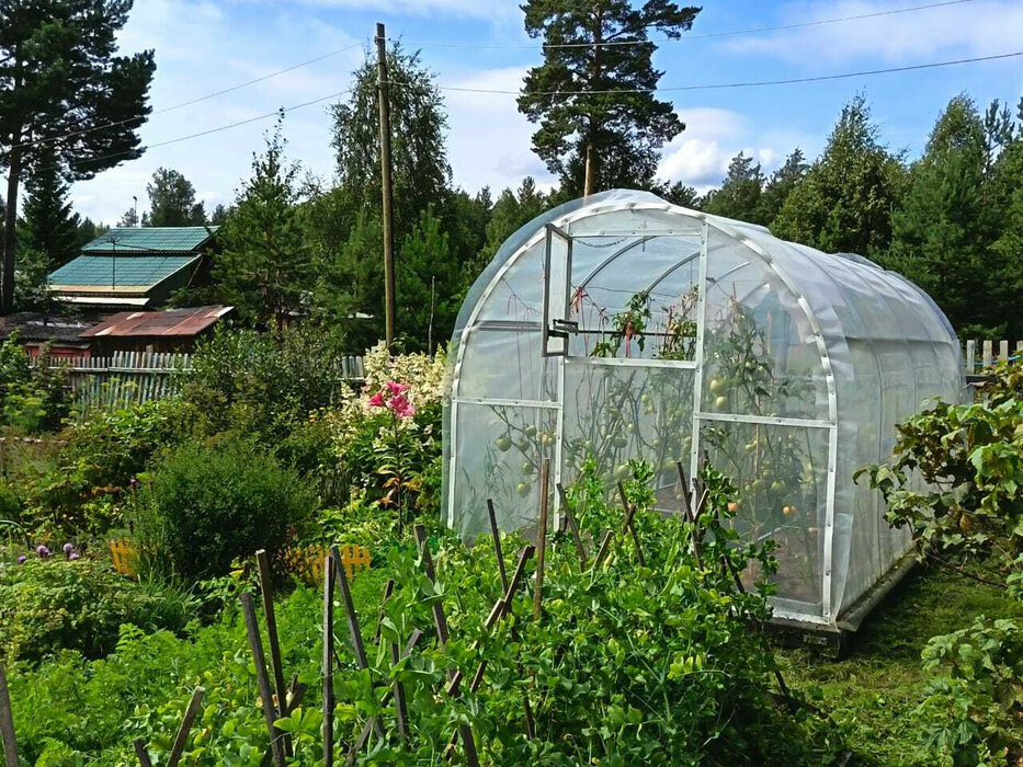 п. Сагра, к/с Радость (городской округ Верхняя Пышма) - фото сада (6)