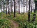 Продажа земельного участка: Екатеринбург, ул. Уткинская (Семь ключей) - Фото 7