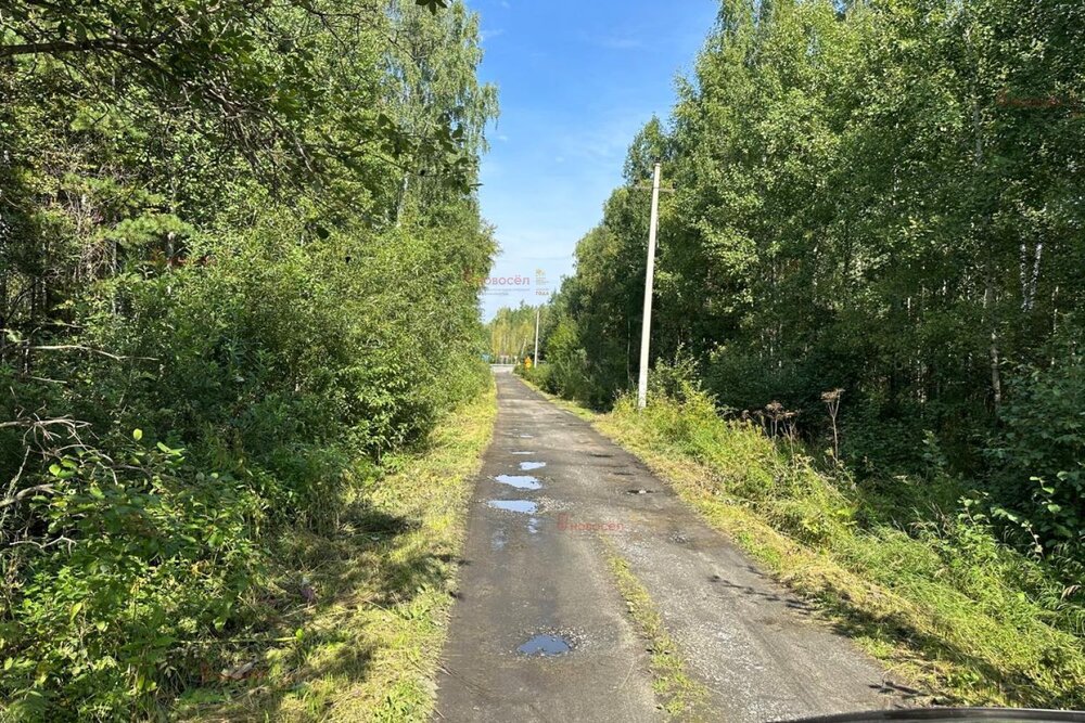 п. Лосиный, садоводческое потребительское общество № 85 (городской округ Березовский) - фото сада (4)