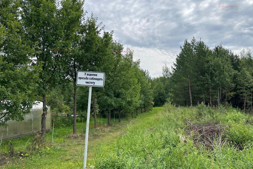 п. Лосиный, садоводческое потребительское общество № 85 (городской округ Березовский) - фото сада (5)