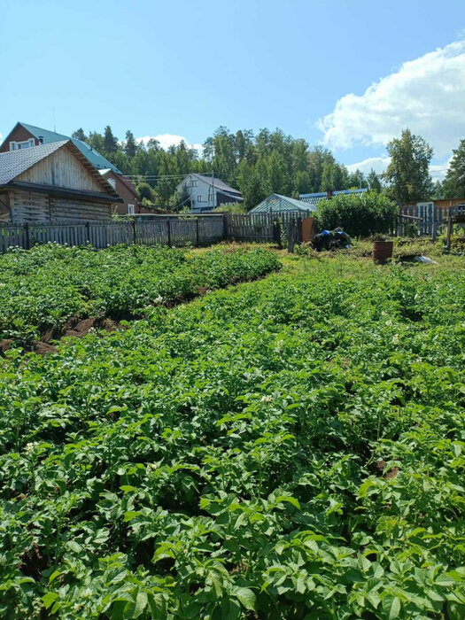 п. Калиново, ул. Ярославского, 50 (городской округ Невьянский) - фото дома (1)