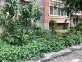 Продажа квартиры: Екатеринбург, ул. Индустрии, 57/1 (Уралмаш) - Фото 2