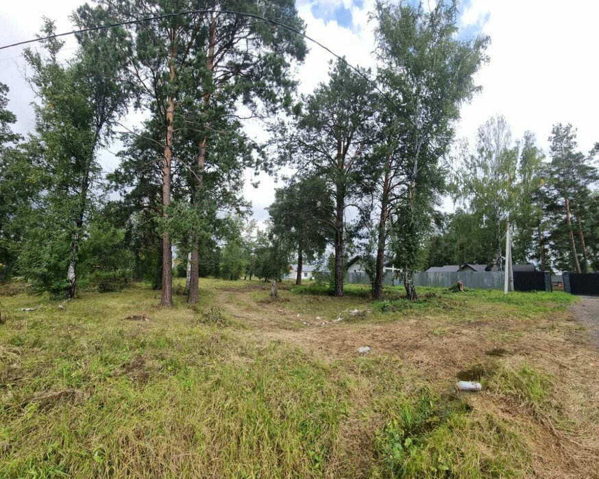 Екатеринбург, ул. 11-й Кианитовый (Полеводство) - фото земельного участка (3)
