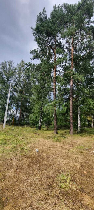 Екатеринбург, ул. 11-й Кианитовый (Полеводство) - фото земельного участка (7)