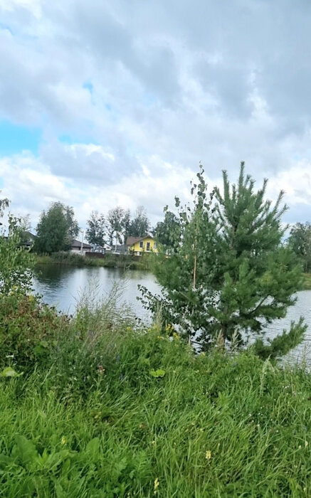 Екатеринбург, ул. 11-й Кианитовый (Полеводство) - фото земельного участка (8)