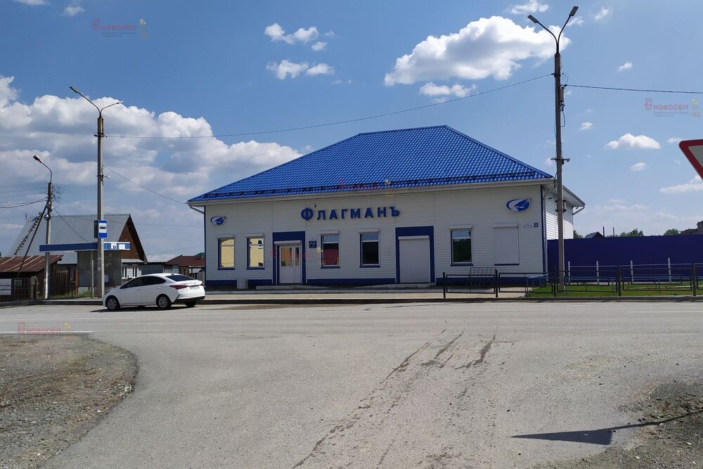 п. Становая, ул. ПСК Шиловский участок, 4 (городской округ Березовский) - фото земельного участка (5)