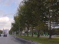Аренда торговой площади: Екатеринбург, ул. Ткачей, 23 (Парковый) - Фото 2