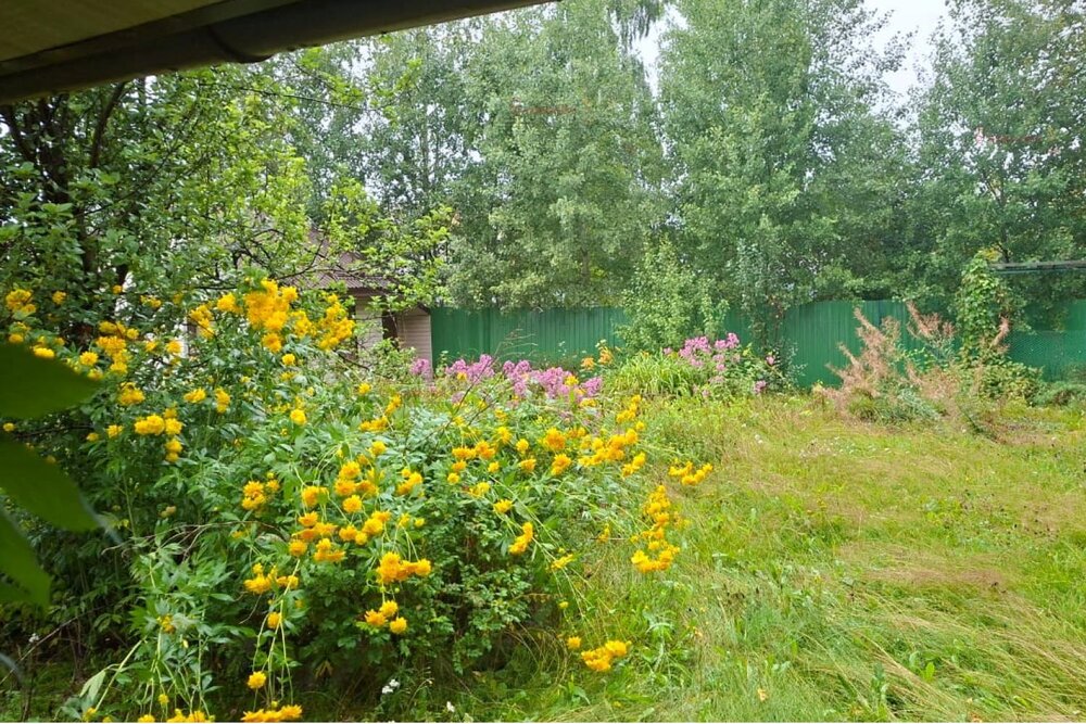 Екатеринбург, уч. 138 - фото сада (8)