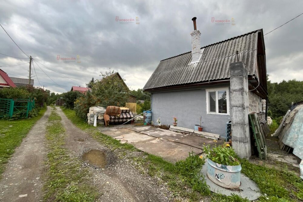 п. Красный, Снт Радуга, уч. 30 (городской округ Верхняя Пышма) - фото сада (2)