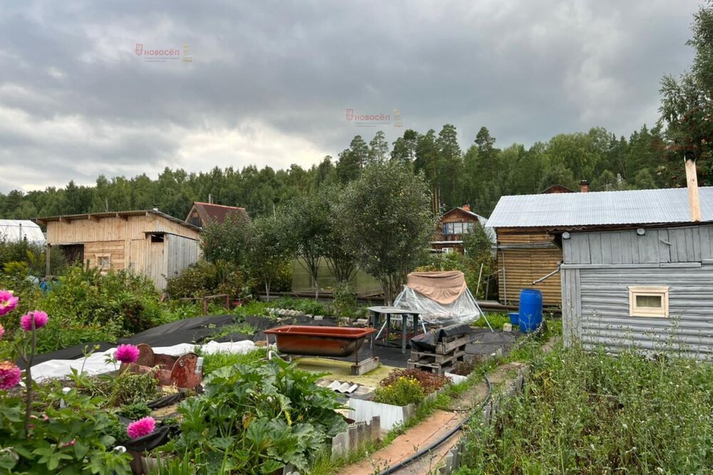 п. Красный, Снт Радуга, уч. 30 (городской округ Верхняя Пышма) - фото сада (4)