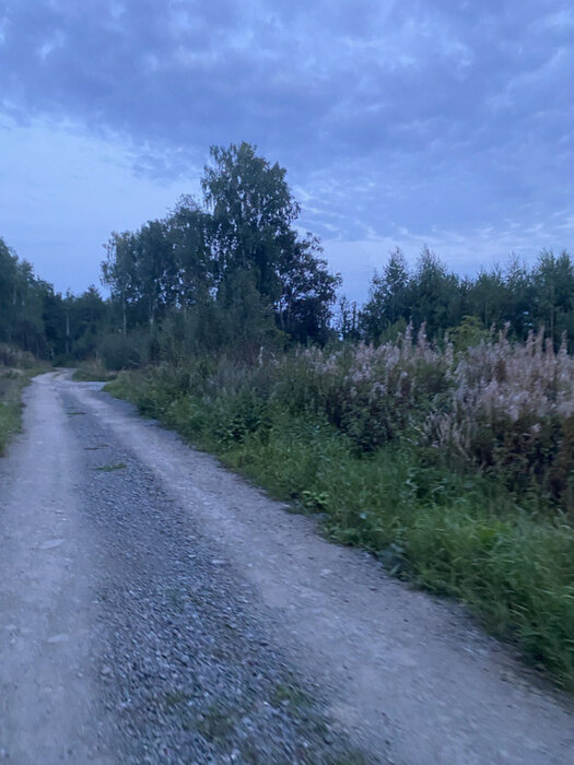 п. Октябрьский (г.о. Сысертский), ул. ДНТ Ручеек (городской округ Сысертский) - фото земельного участка (2)