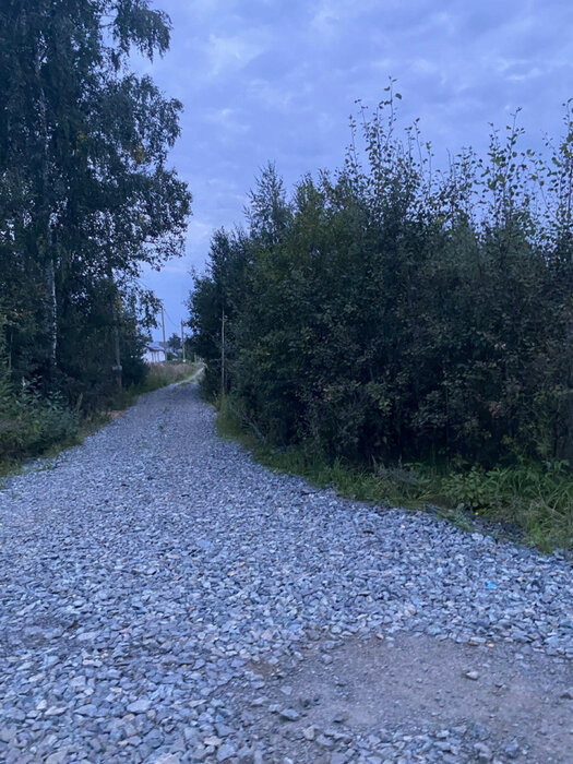 п. Октябрьский (г.о. Сысертский), ул. ДНТ Ручеек (городской округ Сысертский) - фото земельного участка (4)