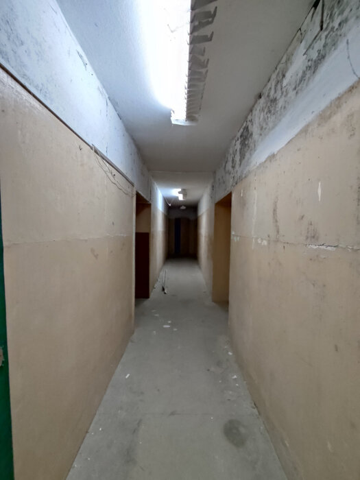 Екатеринбург, ул. Гагарина, 53а (Втузгородок) - фото торговой площади (3)