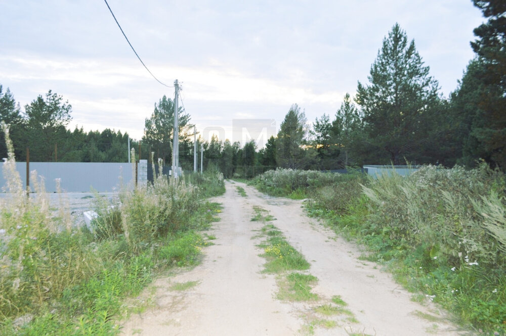 п. Гагарский (городской округ Белоярский) - фото земельного участка (1)