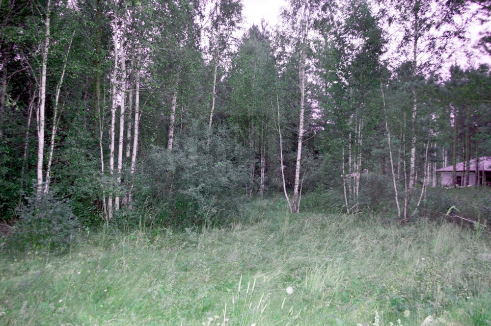 п. Гагарский (городской округ Белоярский) - фото земельного участка (3)